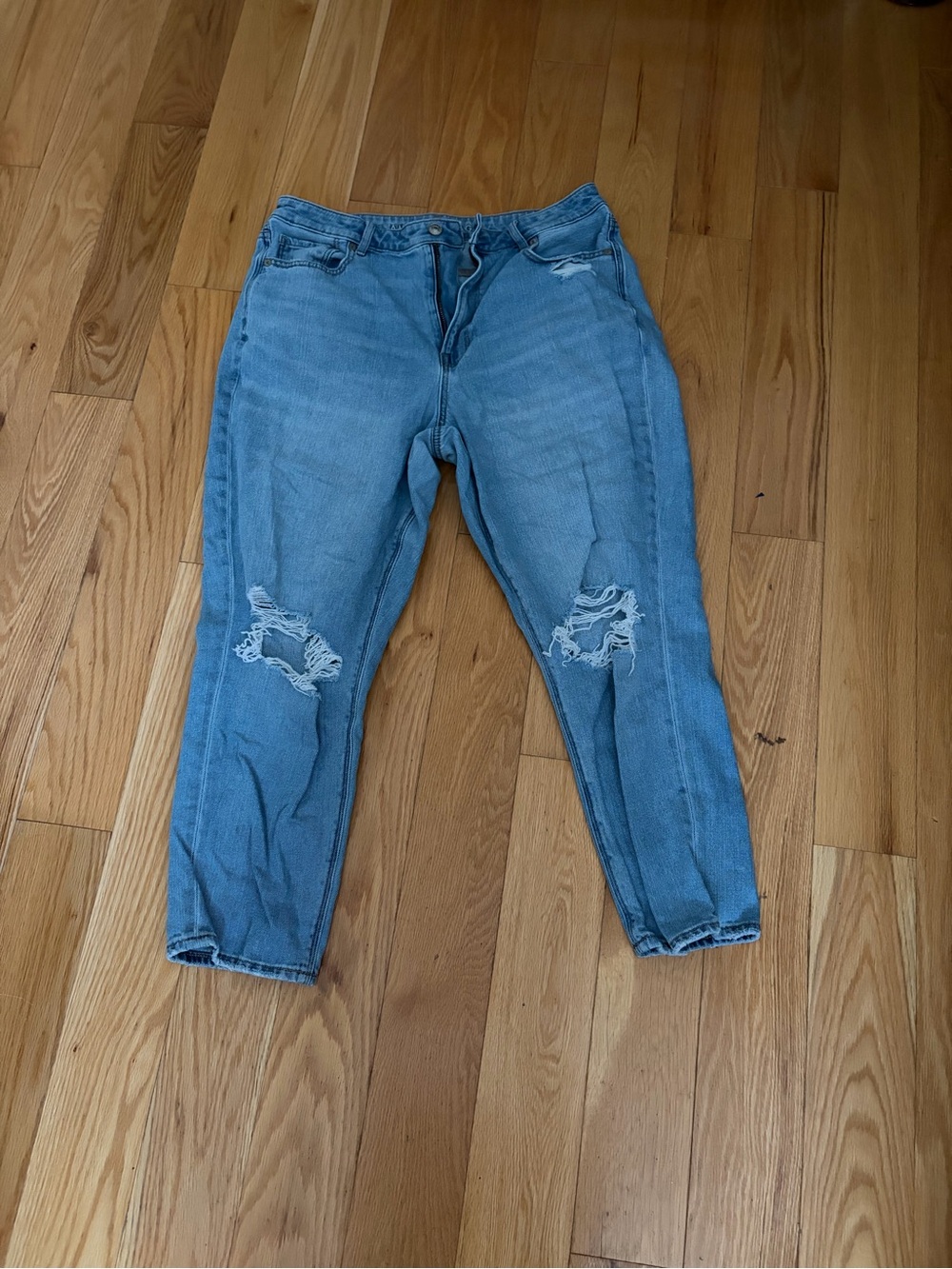American Eagle Outfitters Light short petite size 14 blue Distressed Jeans